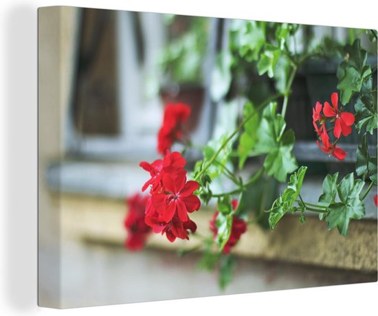 Canvas schilderij 180x120 cm - Wanddecoratie Hangende rode geranium - Muurdecoratie woonkamer - Slaapkamer decoratie - Kamer accessoires - Schilderijen