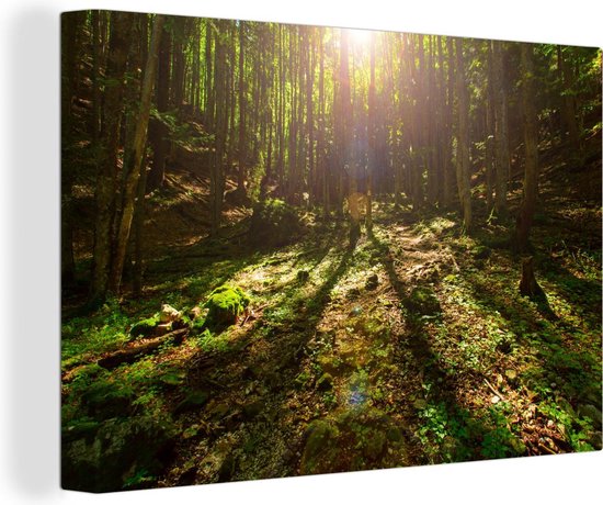 Kleurrijk bos in het nationaal park Karpaten in Europa Canvas 60x40 cm - Foto print op Canvas schilderij (Wanddecoratie woonkamer / slaapkamer)