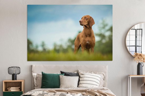 Canvas schilderij 180x120 cm - Wanddecoratie Hond die wegkijkt - Muurdecoratie woonkamer - Slaapkamer decoratie - Kamer accessoires - Schilderijen