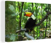 Toucan en toile d'arbre 2cm 90x60 cm - Tirage photo sur toile (Décoration murale salon / chambre) / Peintures sur toile animaux sauvages