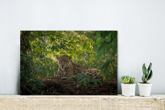 Canvas van een jaguar in de jungle, gedecoreerd op een houten plank.