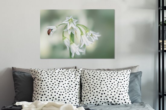 Tableau sur toile Coccinelle en gros plan sur fleur blanche - 90x60 cm - Décoration murale