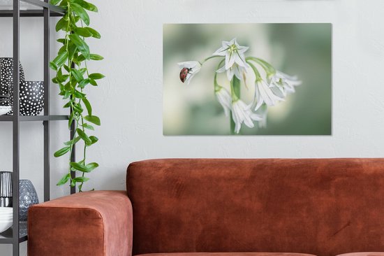 Tableau sur toile Coccinelle en gros plan sur fleur blanche - 90x60 cm - Décoration murale