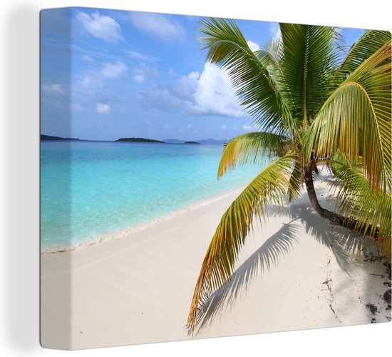 Palmier à la plage des îles Salomon 80x60 cm - Tirage photo sur toile (Décoration murale salon / chambre) / Mer et plage