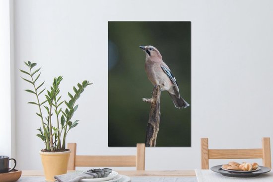 Jay sur une branche 60x90 cm - Tirage photo sur toile (Décoration murale salon / chambre)