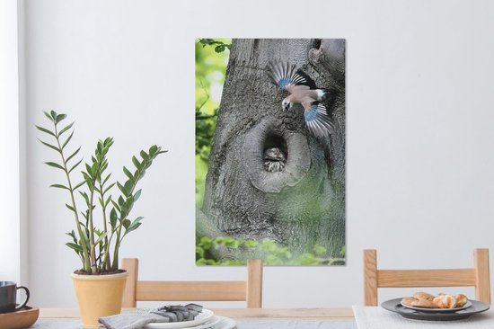 Jay avec un hibou 60x90 cm - Tirage photo sur toile (Décoration murale salon / chambre)