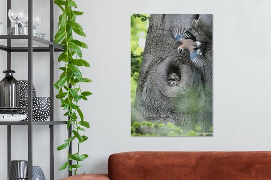 Jay avec un hibou 60x90 cm - Tirage photo sur toile (Décoration murale salon / chambre)