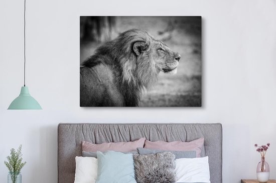 Toile de lion mâle 2cm 160x120 cm - Tirage photo sur toile (Décoration murale salon / chambre) / Animaux sauvages Peintures sur toile XXL / Groot format!