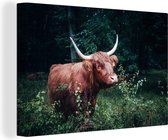 Canvas Schilderij Schotse hooglander - Bladeren - Bos - 30x20 cm - Wanddecoratie