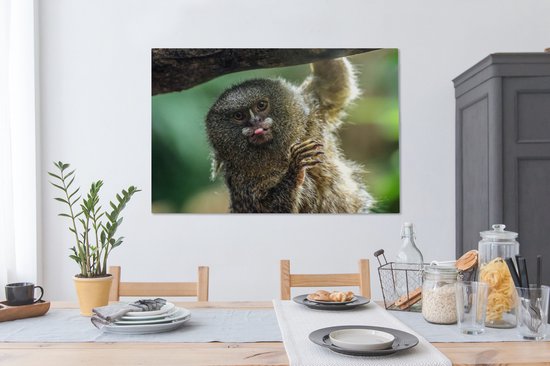 Ouistiti pygmée tirant la langue sur toile 2cm 140x90 cm - Tirage photo sur toile (Décoration murale salon / chambre) / Animaux sauvages Peintures sur toile