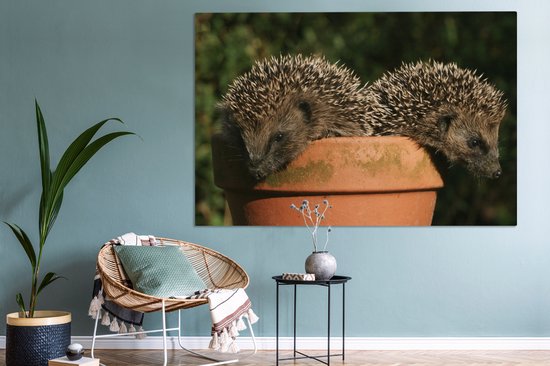Tableau sur toile Deux hérissons sur un pot - 150x100 cm - Décoration murale