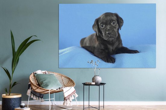Tableau sur toile Chiot Labrador sur couverture bleue - 150x100 cm - Décoration murale