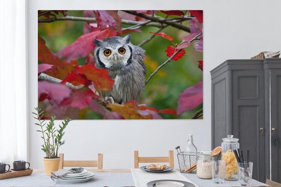 Canvas schilderij 150x100 cm - Wanddecoratie Uil - Vogel - Bladeren - Herfst - Muurdecoratie woonkamer - Slaapkamer decoratie - Kamer accessoires - Schilderijen