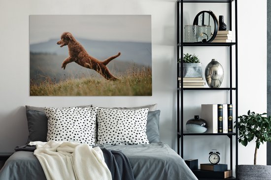 Caniche marron saute dans les airs 120x80 cm - Tirage photo sur toile (Décoration murale salon / chambre) / Peintures sur toile Animaux domestiques