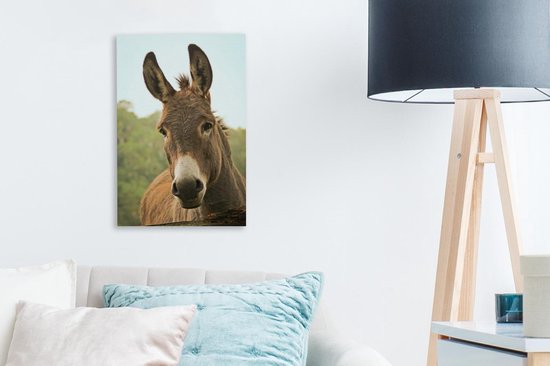 Peintures sur toile - Gros plan d'un âne marron - 20x30 cm - Décoration murale