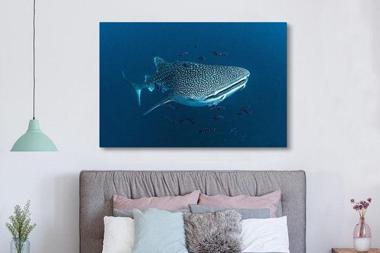 Tableau sur toile Un requin baleine à pois - 150x100 cm - Décoration murale
