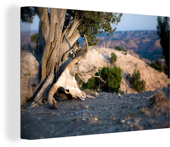 Un crâne Texas Longhorn en toile Palo Duro 90x60 cm - Tirage photo sur toile (Décoration murale salon / chambre)