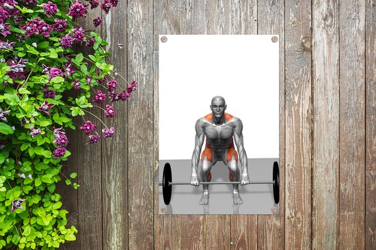 Une illustration de l'avant d'un poster de jardin deadlift 60x90 cm - Toile de jardin / Toile d'extérieur / Peintures d'extérieur (décoration de jardin)