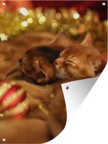Tuinposter - Tuindoek - Tuinposters buiten - Slapende kittens en moeder kat tussen de kerstversiering - 90x120 cm - Tuin