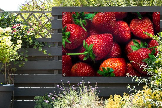 Affiche jardin - Toile Posters de jardin extérieur - Fraises - Fruits - Feuilles - 120x80 cm - Jardin