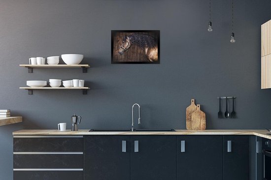 Cheval andalou devant un cadre photo fond en bois noir sans passe partout