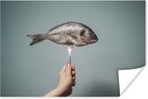 Poisson de taille moyenne embroché sur une fourchette, ce poisson en brochette s'affiche sur un fond bleu grisâtre 30x20 cm - petit
