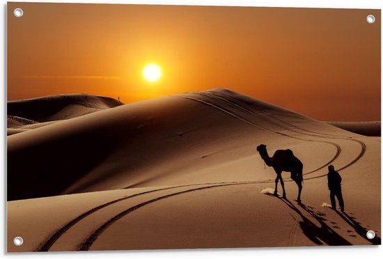 Tuinposter – Ondergaande Zon in Woestijn Gebied - 90x60cm Foto op Tuinposter  (wanddecoratie voor buiten en binnen)