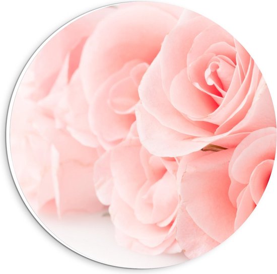 Forex Wandcirkel - Bos Pastel roze Rozen - 20x20cm Foto op Wandcirkel (met ophangsysteem)