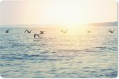 Muismat Zee - Meeuwen vliegen over de zee muismat rubber - 27x18 cm - Muismat met foto