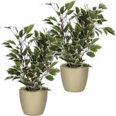 2x stuks groen/witte ficus kunstplanten 40 cm met plantenpot parelgoud D13.5 en H12.5 cm