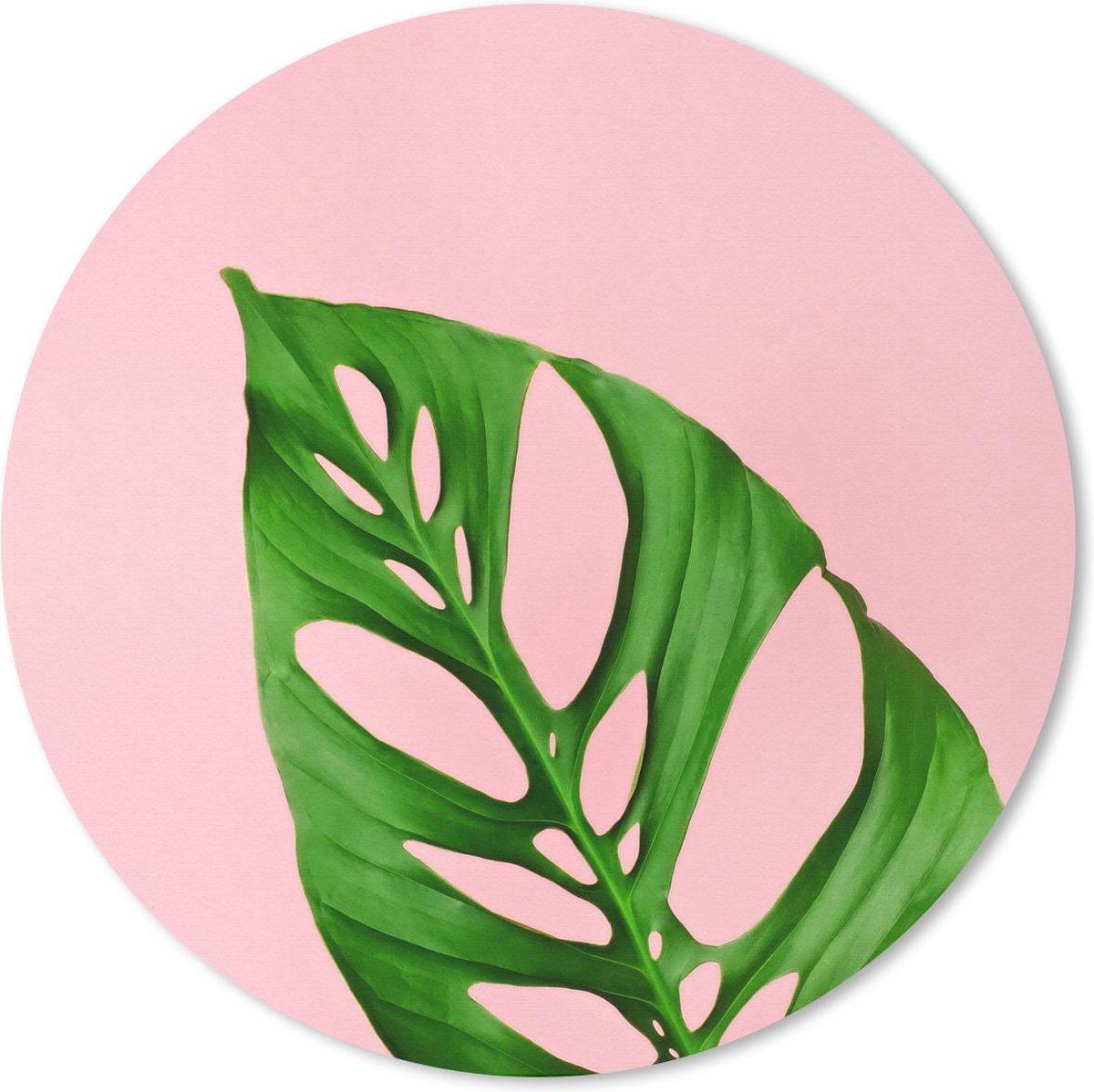 Muismat Botanisch - Botanisch blad met felle kleur als achtergrond Muismat rond - 20x20 cm - Muismat met foto