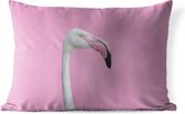 Buitenkussens - Tuin - portet witte flamingo - 60x40 cm