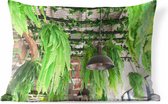 Buitenkussens - Tuin - Lampen en planten - 60x40 cm