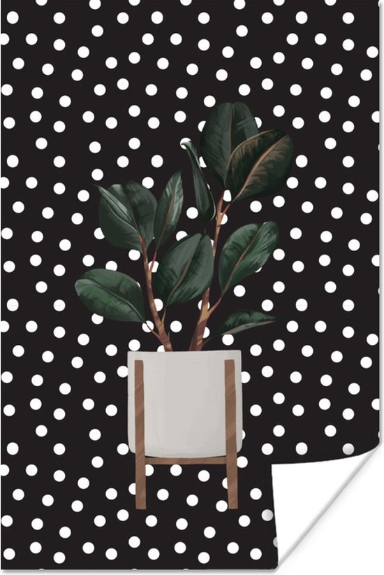 Illustratie van een plant met donkere ovalen bladeren op een zwarte achtergrond met witte stippen 40x60 cm - Foto print op Poster (wanddecoratie woonkamer / slaapkamer)