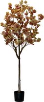 Eucalyptus Kunstboom Roest - 160cm hoog | Eucalyptus Kunstboom Roest | Eucalyptus Kunstboom voor Binnen | Eucalyptus Kunstboom Roest kleurig