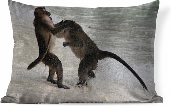 Sierkussens - Kussen - Twee mannelijke apen vechten - 60x40 cm - Kussen van  katoen | bol.com