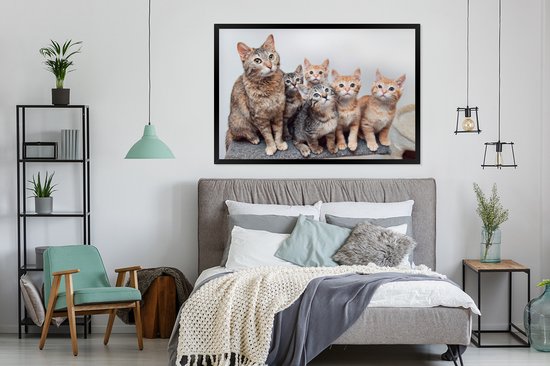 Photo encadrée - Cadre photo chatons curieux noir sans passe partout 120x80 cm - Affiche encadrée (Décoration murale salon / chambre)