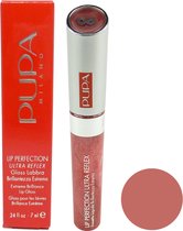 Pupa Milano Lip Perfection Ultra Reflex Lipgloss - 06 Raspberry