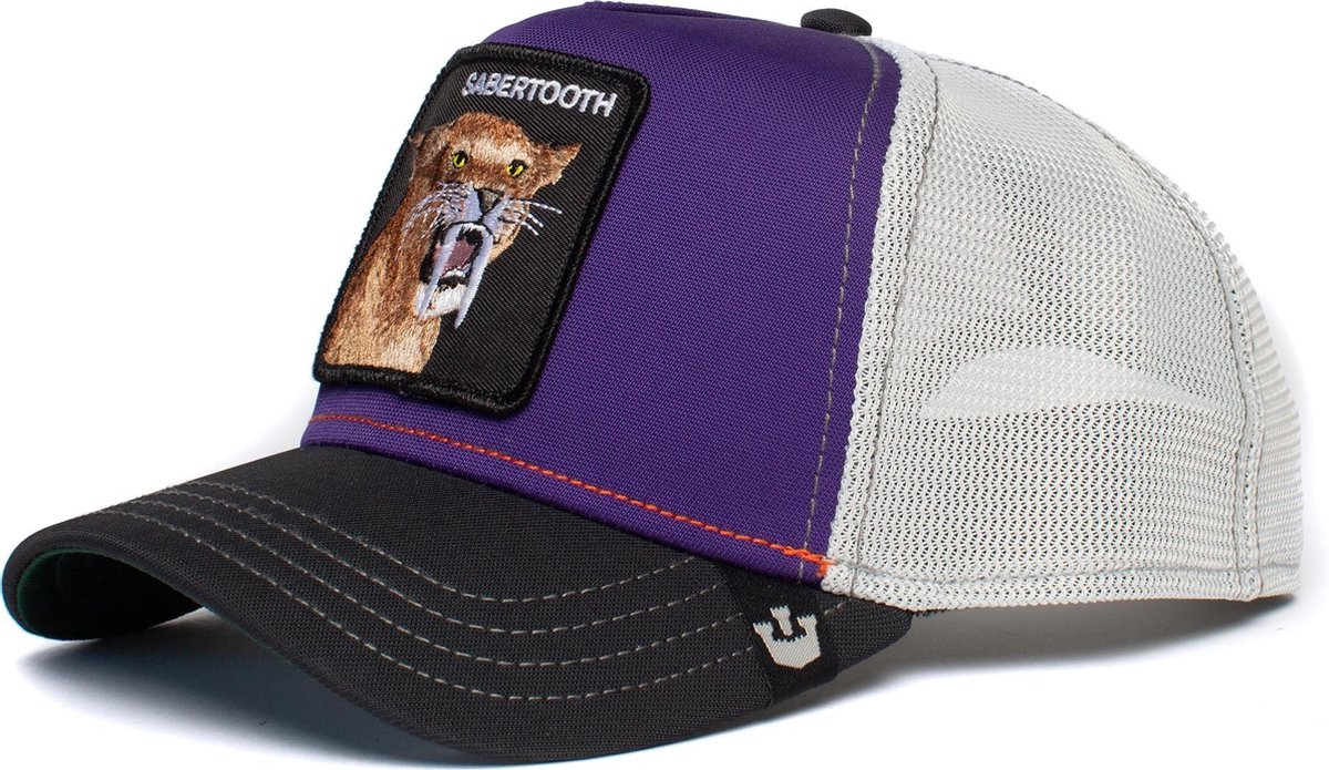 Goorin Bros. Sabertooth Trucker cap - Purple