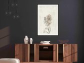 Poster - Life of Plants-20x30
