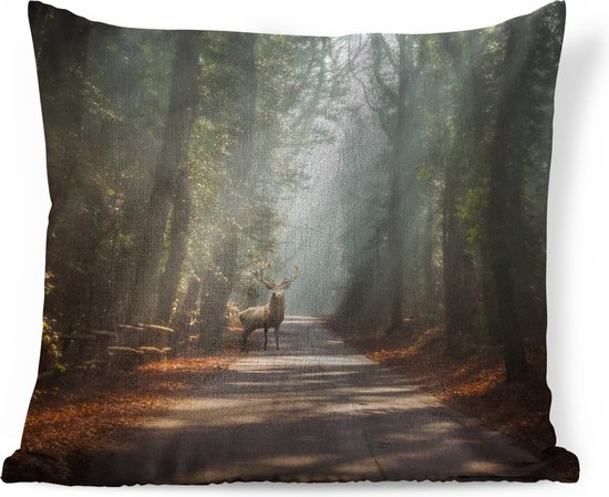 Sierkussen Cerf pour l'intérieur - Cerf sur la route dans la forêt - 40x40 cm - Coussin intérieur carré en coton