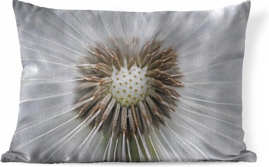 Sierkussen Graines de pissenlit pour usage intérieur - Il manque quelques graines de pissenlit - 50x30 cm - Coussin intérieur rectangulaire en coton