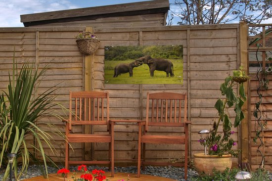 Décoration de jardin Deux éléphants combattants - 60x40 cm - Poster jardin - Toile jardin - Poster extérieur