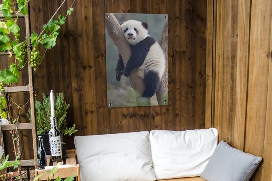 Jeune panda dort dans un arbre 60x90 cm