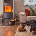 Haardscherm in een woonkamer met een brandende kachel en slapende hond op de voorgrond.