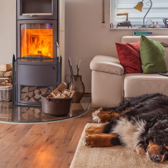 Haardscherm in een woonkamer met een brandende kachel en slapende hond op de voorgrond.