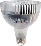 E27 LED lamp 35W 220V PAR30 24LED 60 ° Transparant - Wit licht
