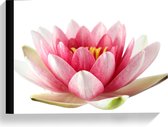 Canvas  - Roze met Witte Lotus Bloem - 40x30cm Foto op Canvas Schilderij (Wanddecoratie op Canvas)