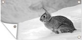 Tuinposter Wild konijn in de sneeuw - zwart wit - 80x40 cm - Wanddecoratie Buiten - Tuinposter - Tuindoek - Schuttingposter - Tuinschilderij