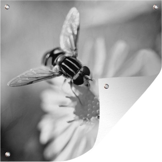 Affiche de Jardin Une abeille se pose sur une fleur d